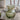 Villa Lua Handblown Bola Pitcher
