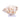 Decorative coral on a white background