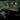 Car interior with steering wheel and dashboard, blurred greenery outside