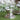 Clear glass candle holder on a green surface with a blurred natural background