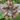 A natural bird feather wreath made from brown, beige, and gray feathers, displayed on a weathered gray wooden fence with green foliage in the background.
