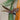 Decorative pheasant bird on a branch with green leaves in the background